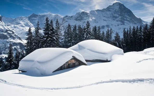 Grindelwald in winter